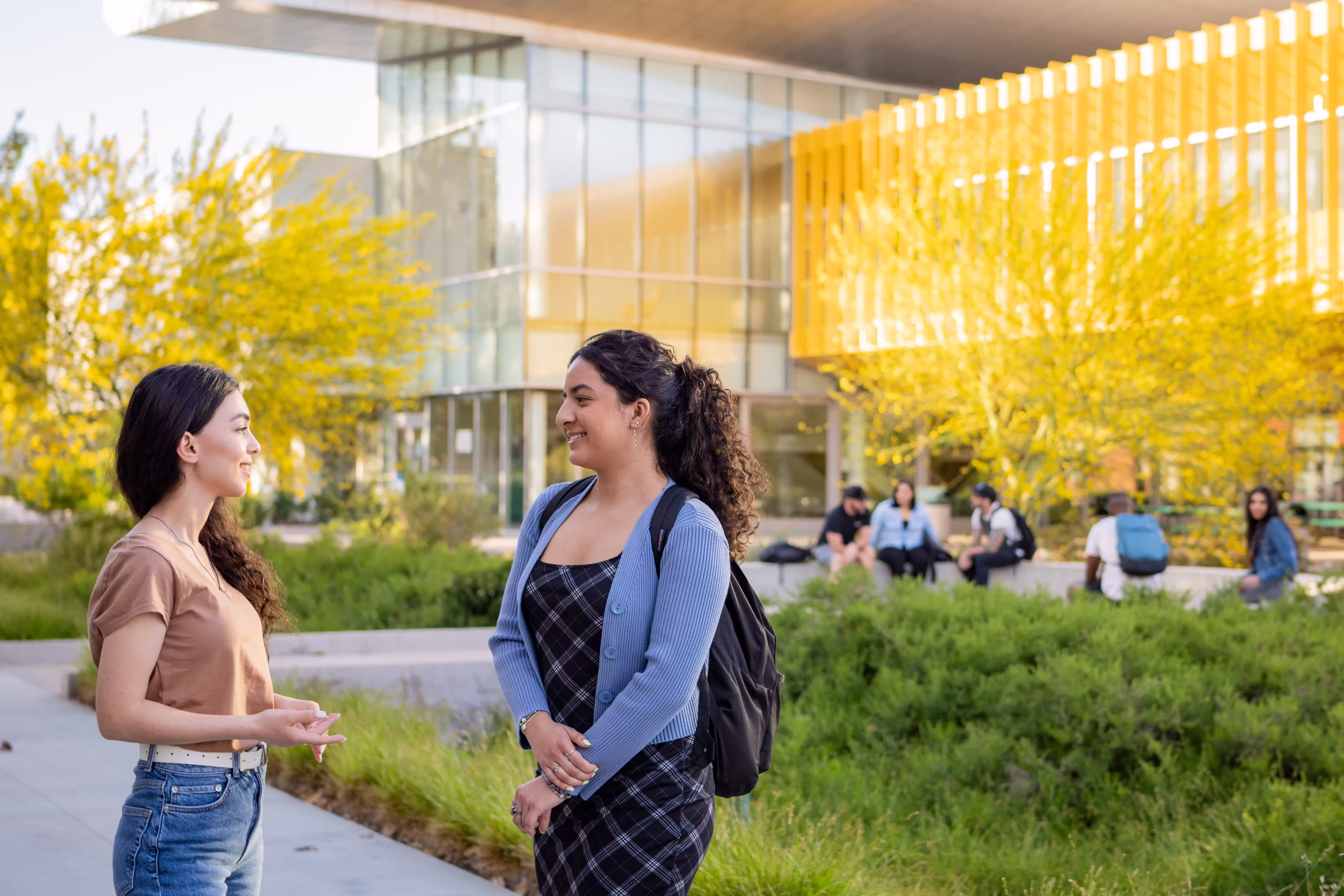 Two students chat on a pedestrian pathway, with seated students and a college building in the background